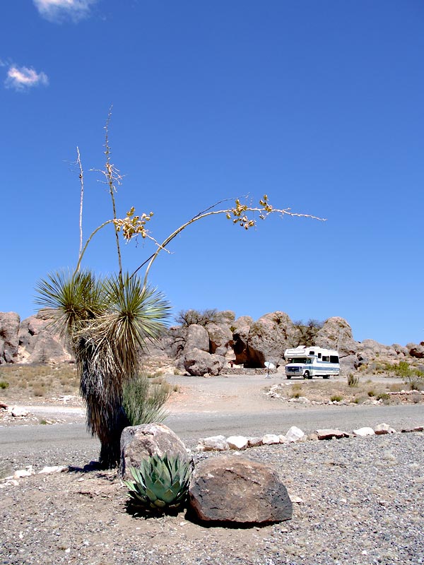 Gertie at City of Rocks
