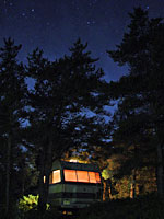 Gertie and stars