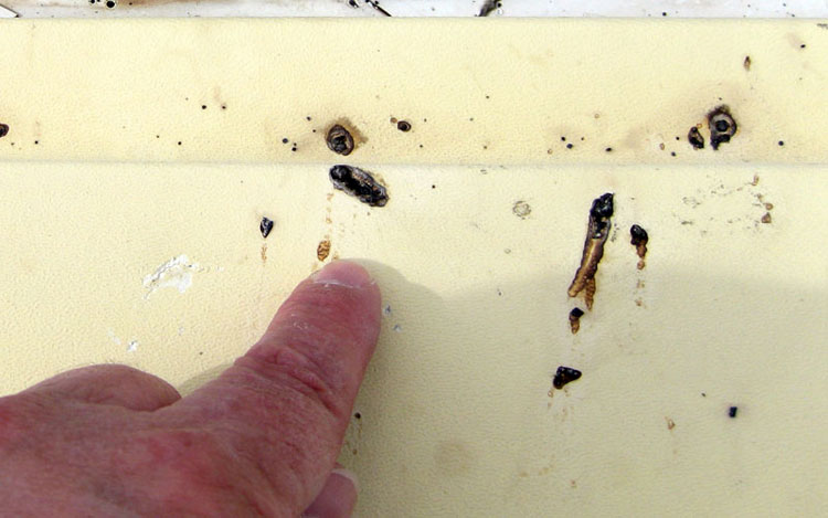 Escape hatch holes