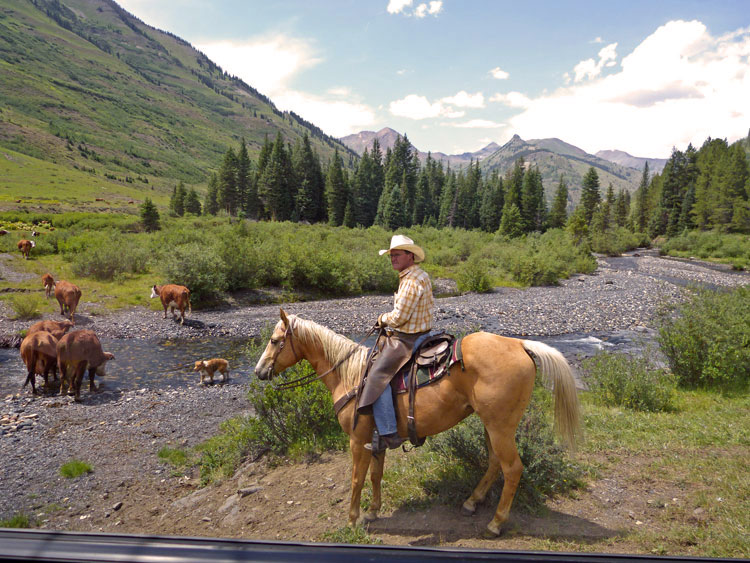 Cowboy