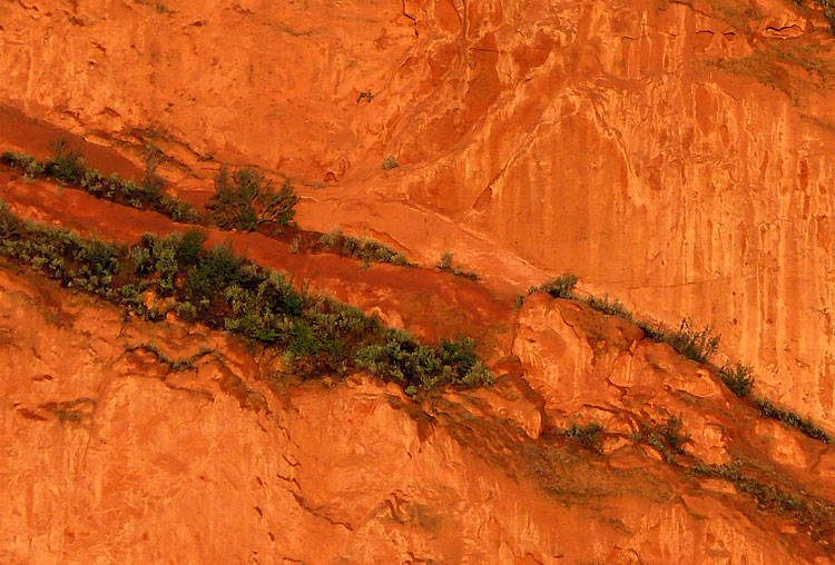 Red rock face
