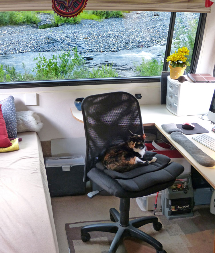 View from office