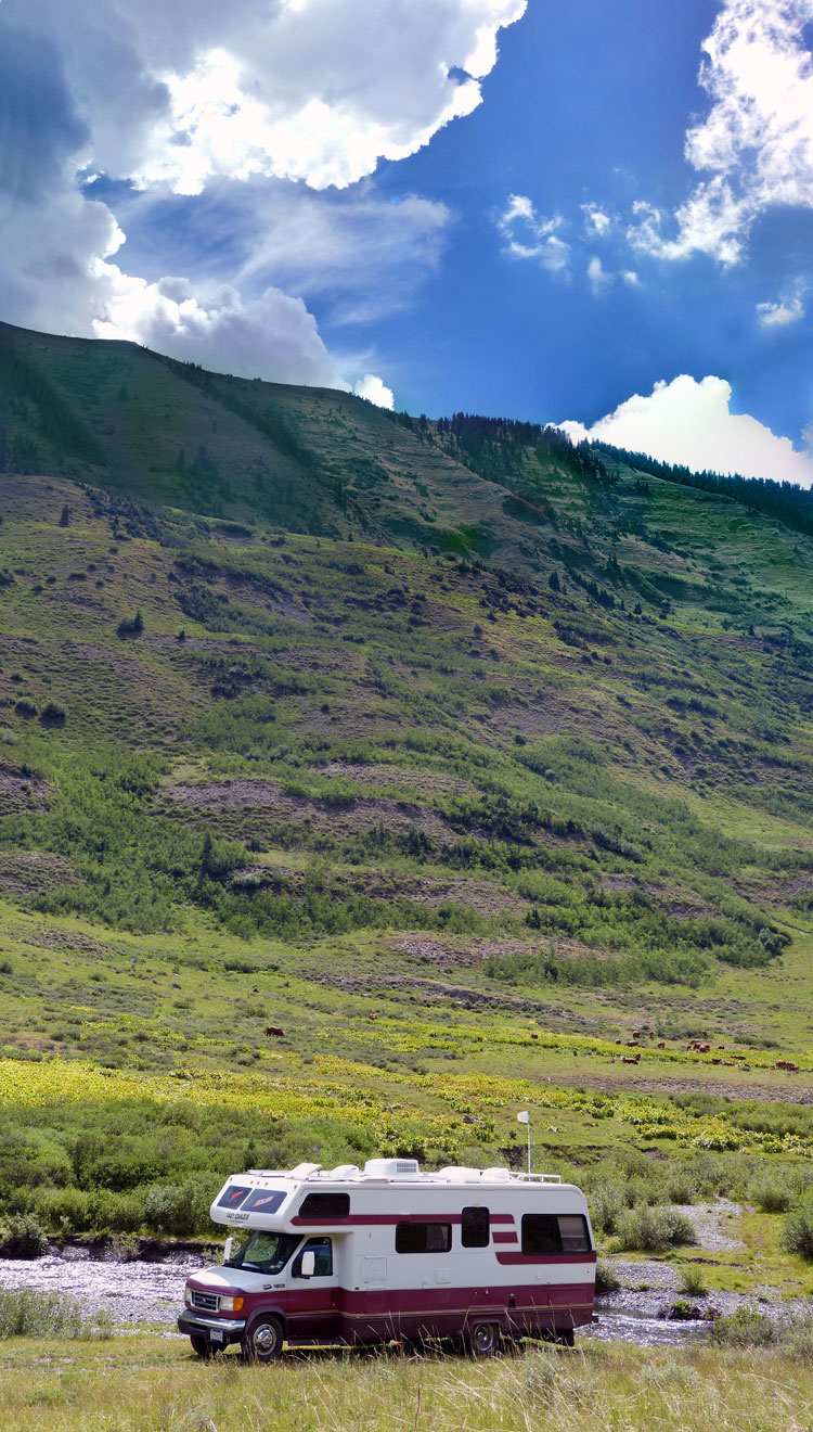 Mountainside grazing