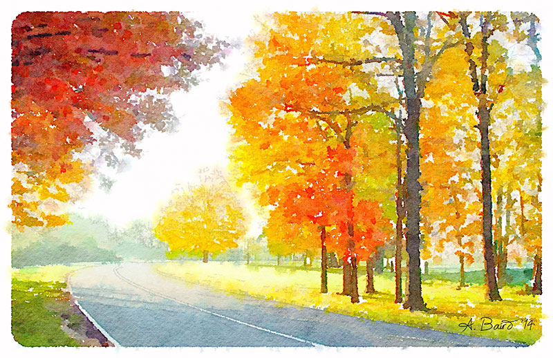 ETS driveway